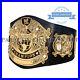 World_Wrestling_Heavy_Weight_Championship_Belt_Replica_Title_Adult_Size_Belt_01_cywe