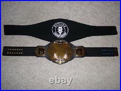 Wwe Authentic Nxt World Championship Metal Adult Replica Wrestling Title Belt