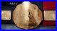 Wwf_Wcw_Big_Gold_World_Heavyweight_Championship_Adult_Belt_Replica_01_we